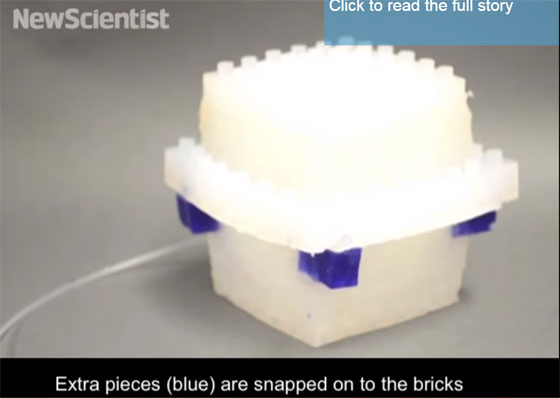 Click-e-bricks are the flexible plastic elastomeric bricks