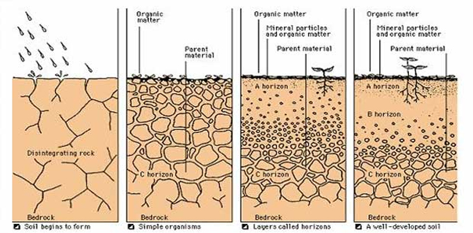 How soil is formed